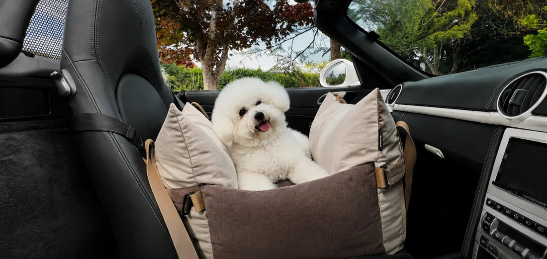 White dog sitting in beige carrier inside a car