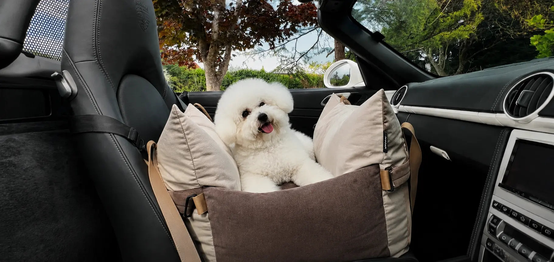 How to Choose a Pet Carrier for Travel in 2026