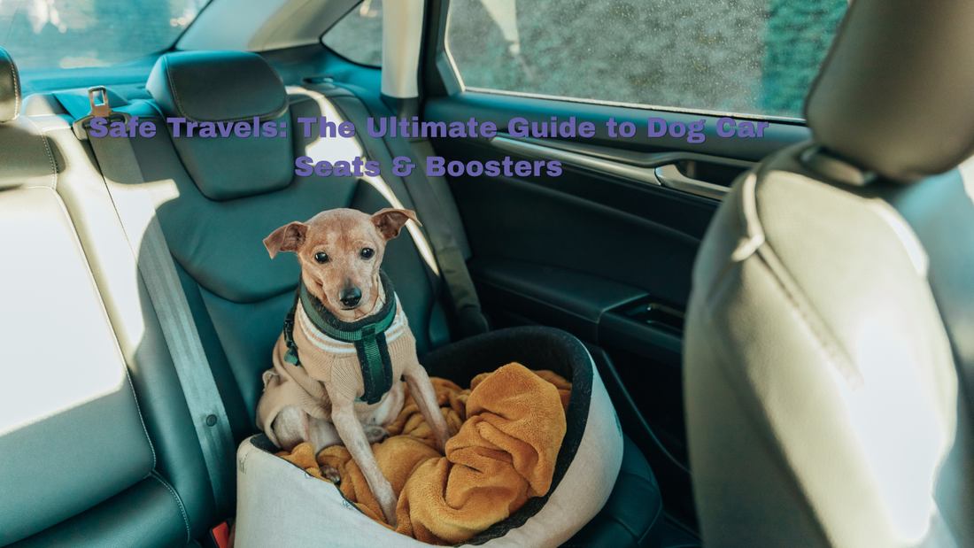 Small dog buckled into blue car seat in vehicle back seat