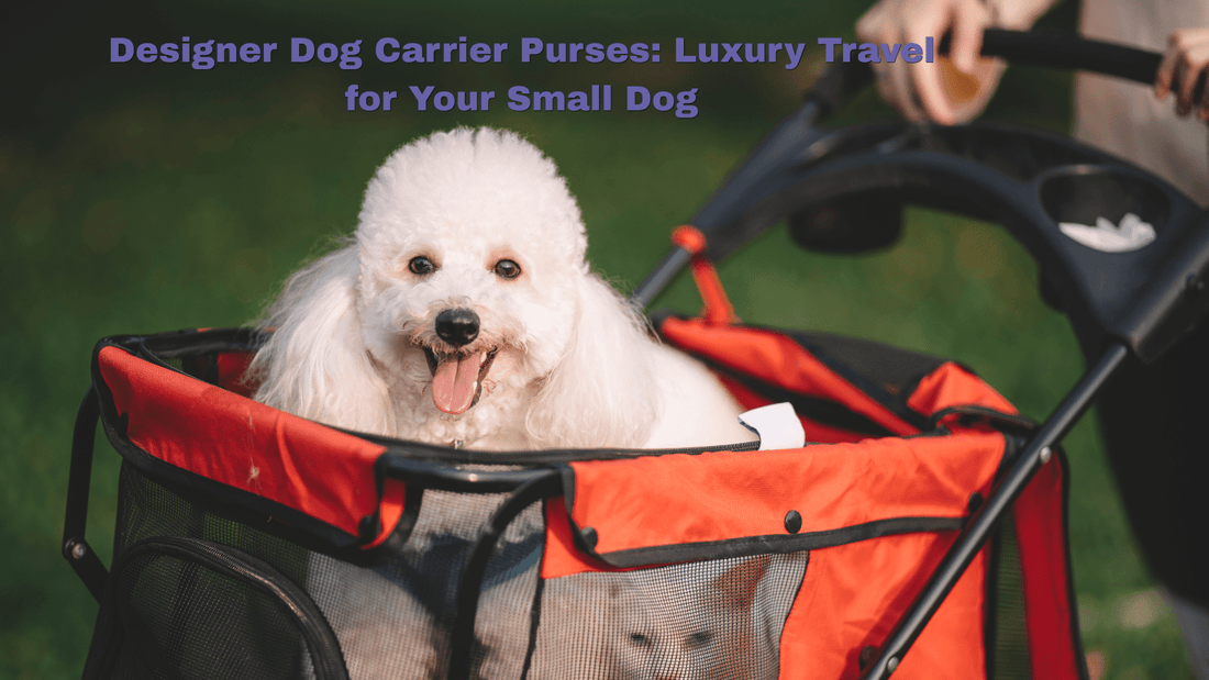 Designer Dog Carrier Purses: Luxury Travel for Your Small Dog - ZoePaws