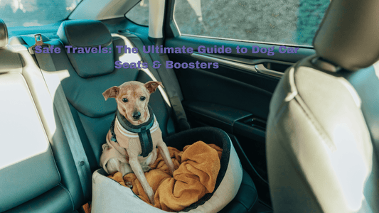 Dog Car Seats: Complete Guide for All Breeds | ZoePaws - ZoePaws