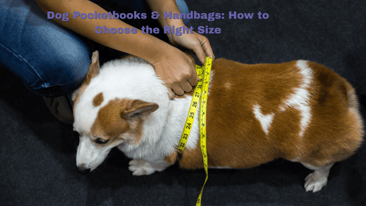 Dog Pocketbooks & Handbags: How to Choose the Right Size - ZoePaws
