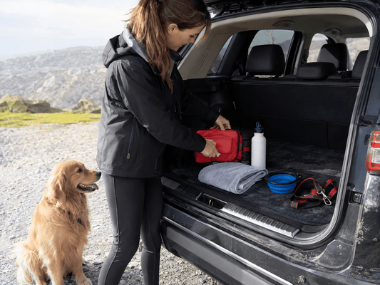 Dog Road Trip First-Aid Kit: What to Pack and When to Call a Vet - ZoePaws