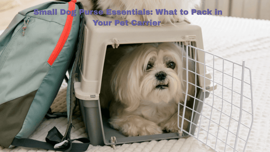Small Dog Purse Essentials: What to Pack in Your Pet Carrier - ZoePaws