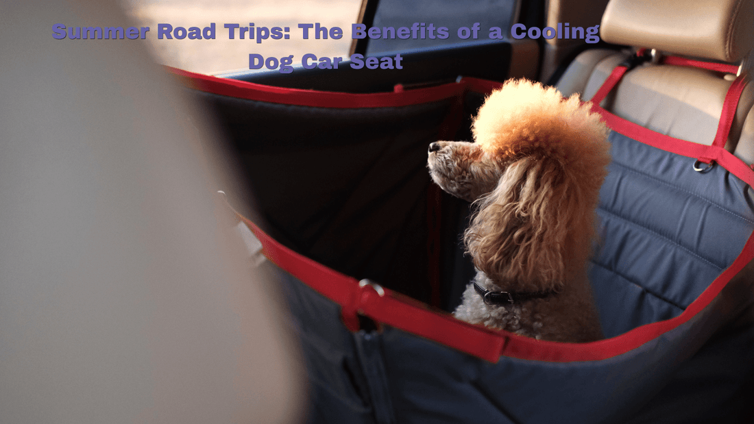 Summer Road Trips: The Benefits of a Cooling Dog Car Seat - ZoePaws