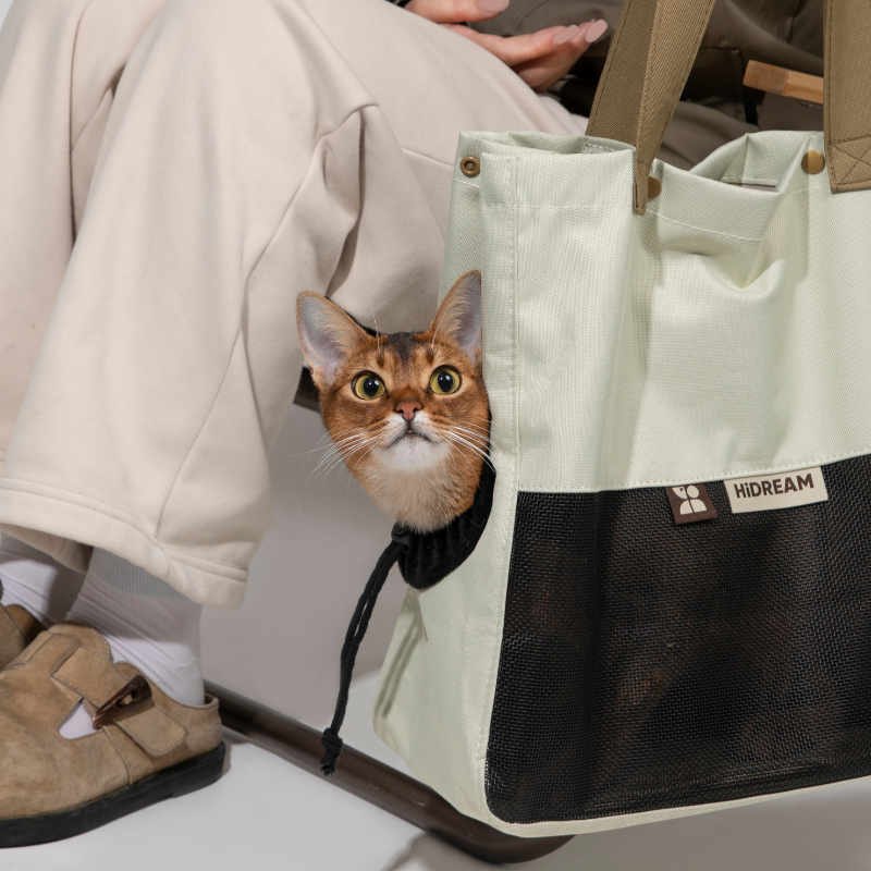 Cat sitting inside cream canvas pet carrier tote by owner feet