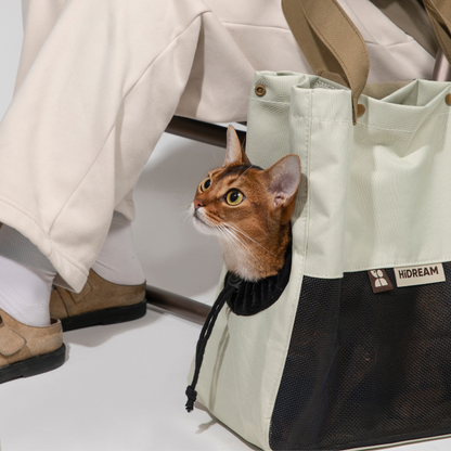 Cat looking out from cream canvas pet carrier tote on floor