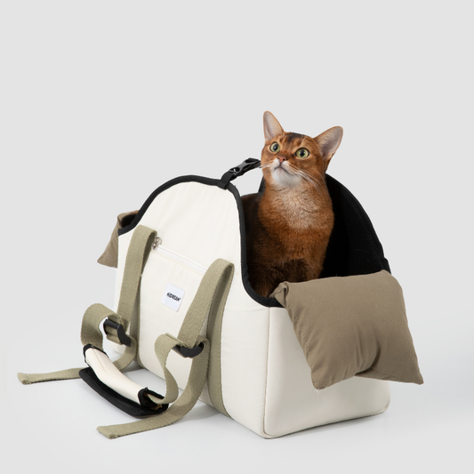 Cat sitting in cream pet walking shoulder bag with removable mesh cover