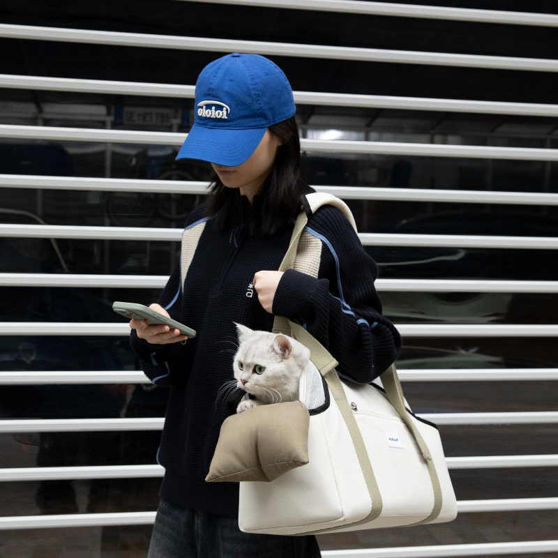 Pet Walking Shoulder Bag with Removable Mesh Cover