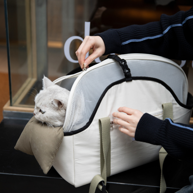 Pet Walking Shoulder Bag with Removable Mesh Cover