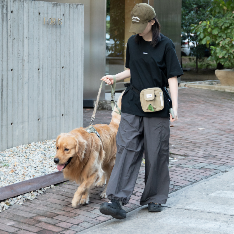 Dog Treat Training Pouch with Multi-Way Wear and Large Storage