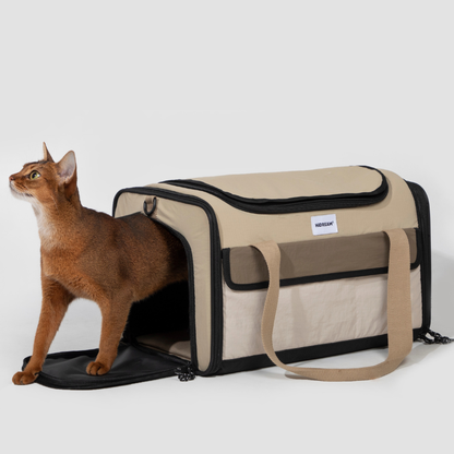 Cat walking beside beige airline approved foldable pet carrier