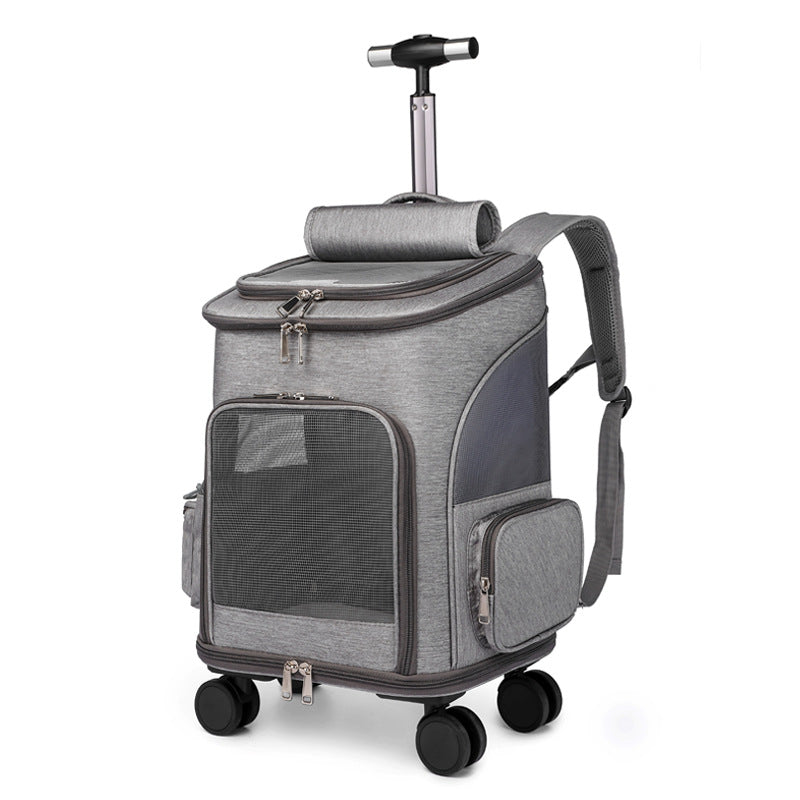 Space Capsule Pet Carrier Backpack size and fit view