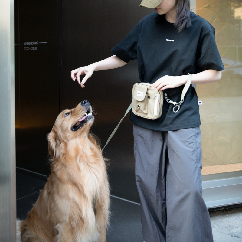 Dog Treat Training Pouch with Multi-Way Wear and Large Storage