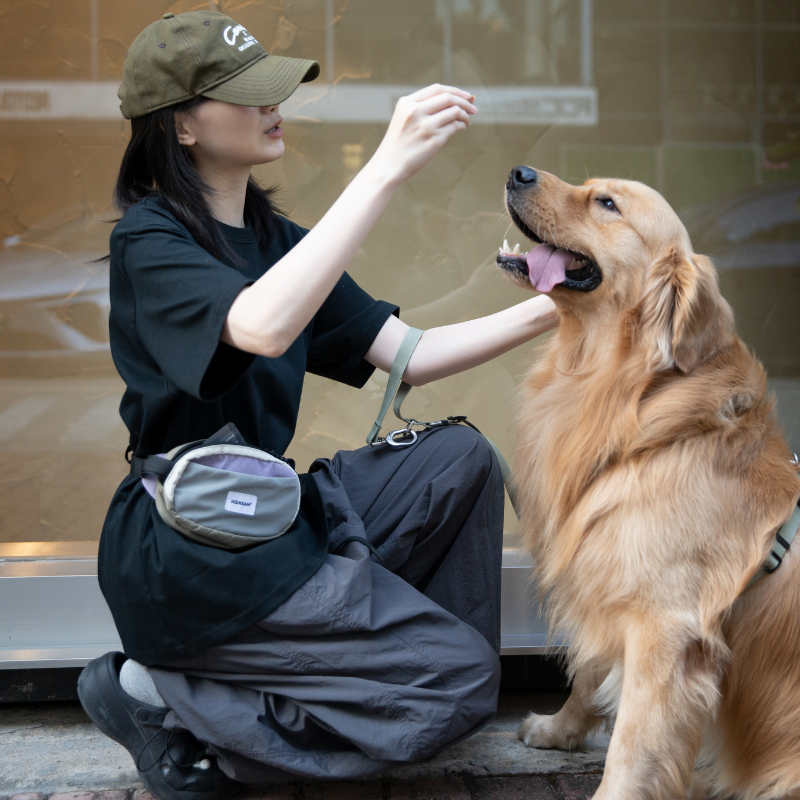 Owner rewarding golden retriever while wearing gray dog treat pouch