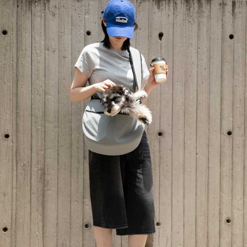Owner wearing gray outdoor pet tote shoulder bag with dog inside