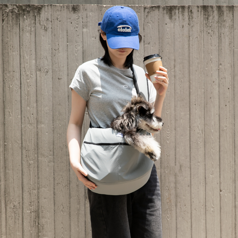 Owner carrying gray outdoor pet tote shoulder bag with small dog