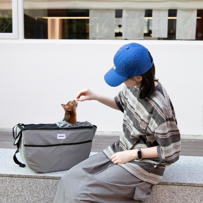 Owner petting cat inside gray outdoor pet tote shoulder bag