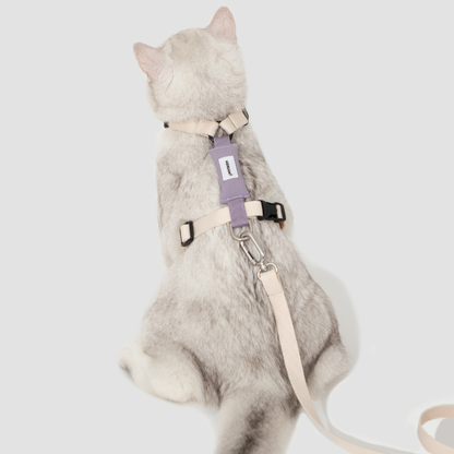 White cat wearing lavender Valley Series lightweight cat harness from back