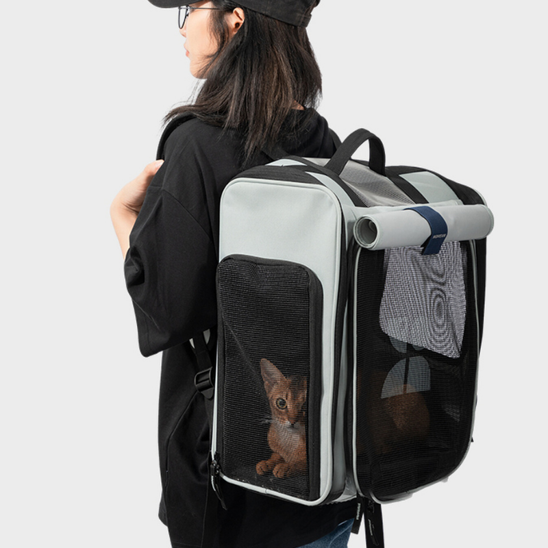 Premium Expandable Space Capsule Cat Backpack close-up detail view