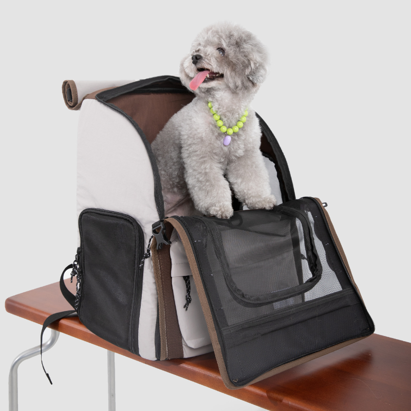 Gray dog sitting in black ergonomic anti-sag pet backpack on table