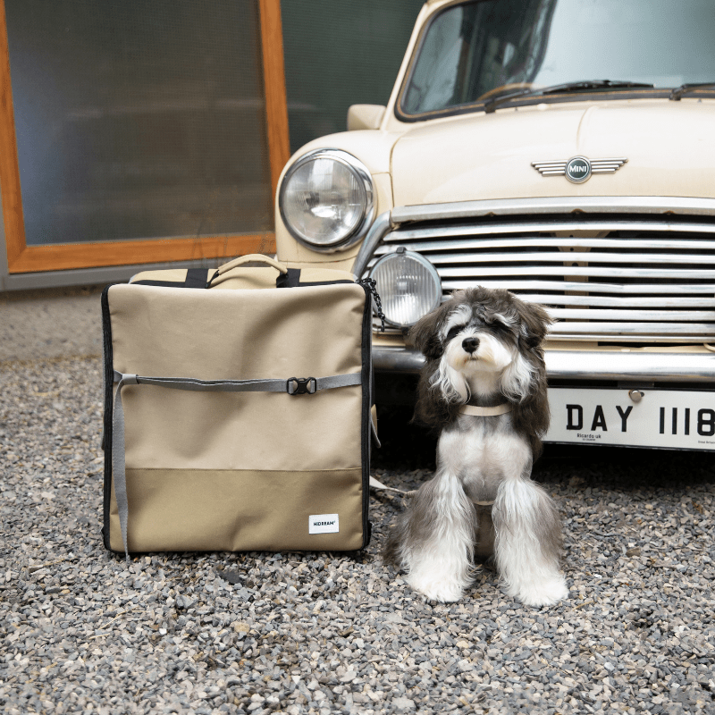 2-in-1 Pet Car Seat and Backpack Carrier - ZoePaws