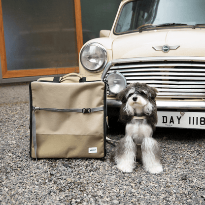 2-in-1 Pet Car Seat and Backpack Carrier - ZoePaws