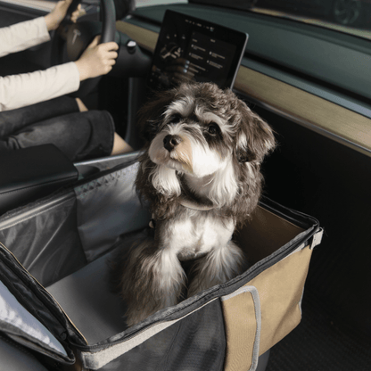 2-in-1 Pet Car Seat and Backpack Carrier - ZoePaws
