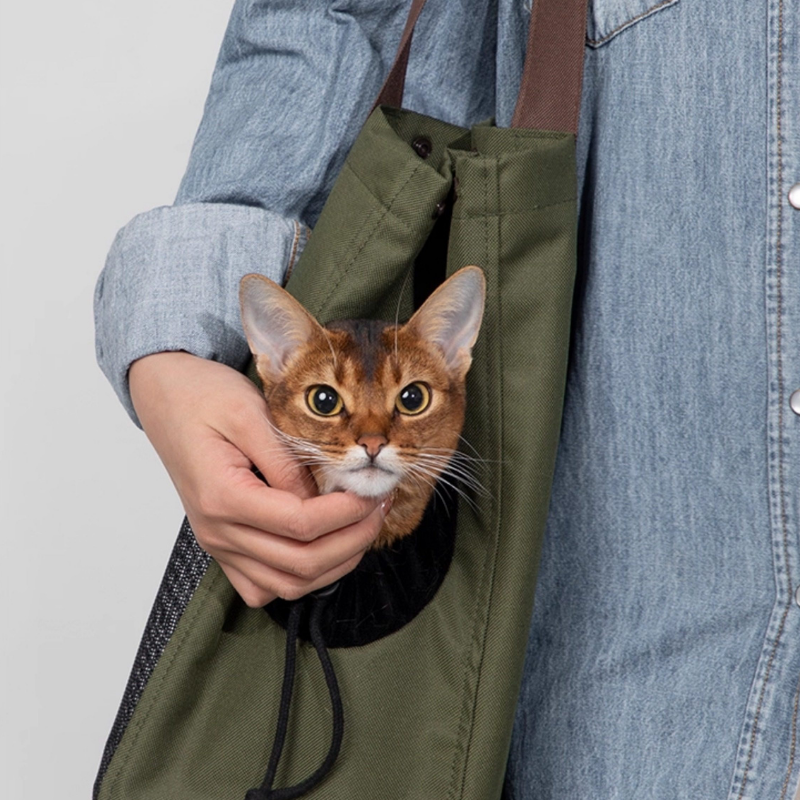 Aesthetic Breathable Canvas Pet Carrier Tote front view