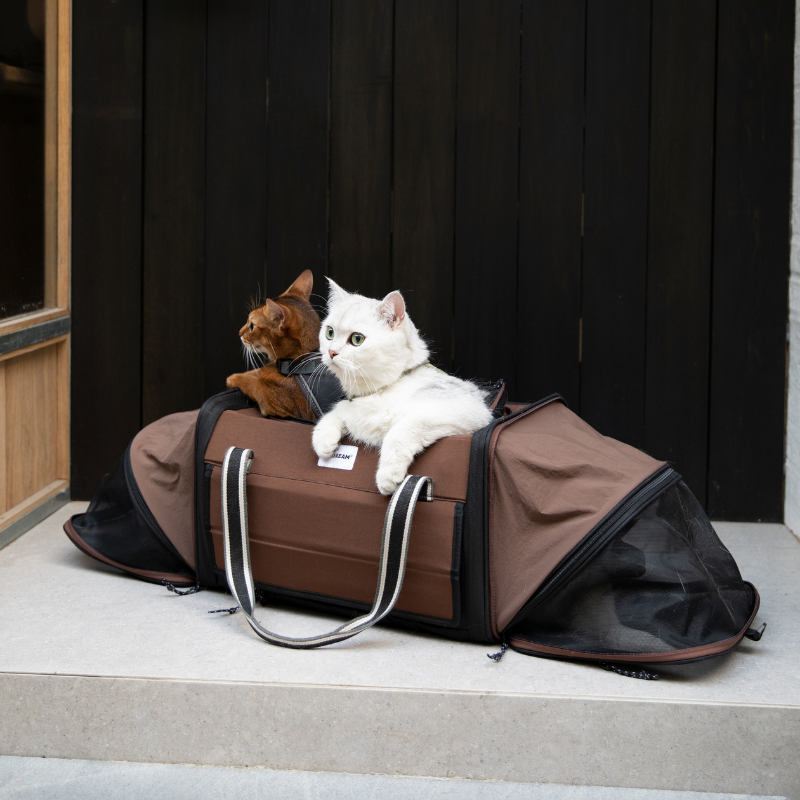 Katze und weißer Hund ruhen im erweiterten doppelten Zelt-Tierreise-Trage
