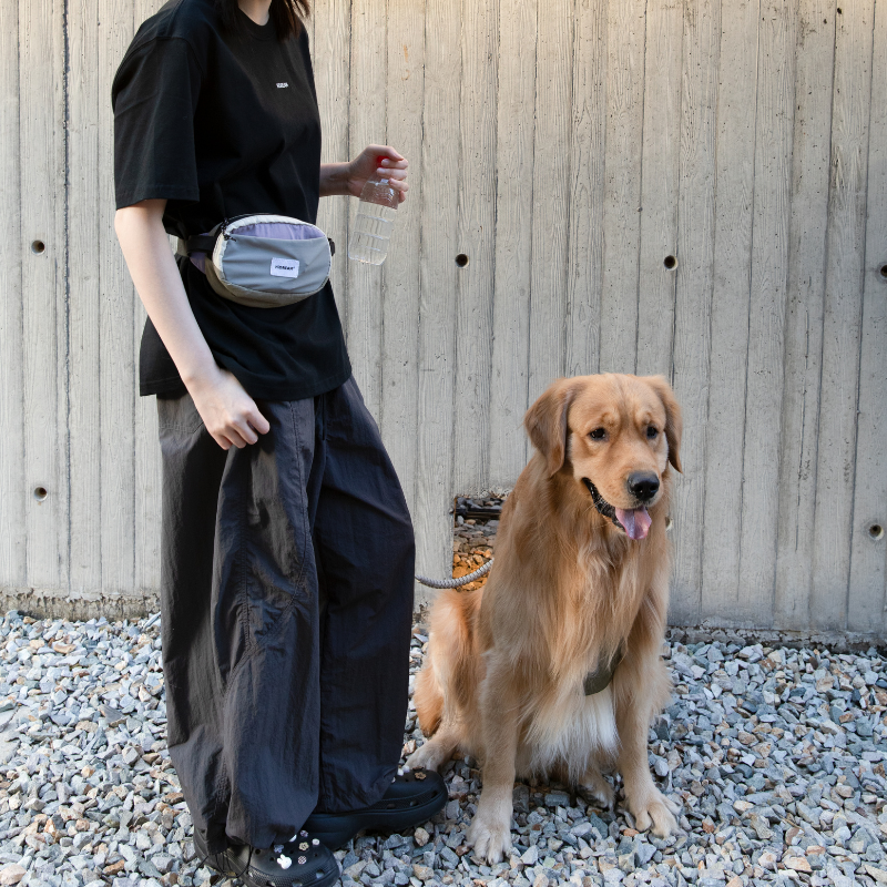 Dog Treat Training Pouch with Multi-Way Wear and Large Storage