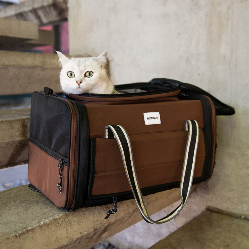 Weiße Katze schaut aus doppeltem Zelt-erweiterbarem Haustier-Reisetransporter drinnen