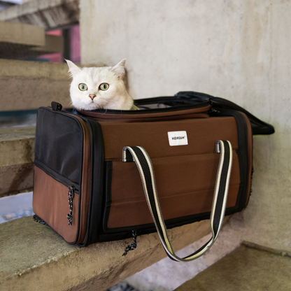 Weiße Katze schaut aus doppeltem Zelt-erweiterbarem Haustier-Reisetransporter drinnen