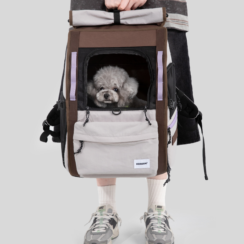 Gray dog in ergonomic anti-sag pet backpack carried by hand
