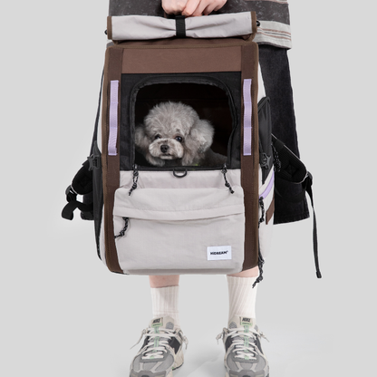 Gray dog in ergonomic anti-sag pet backpack carried by hand