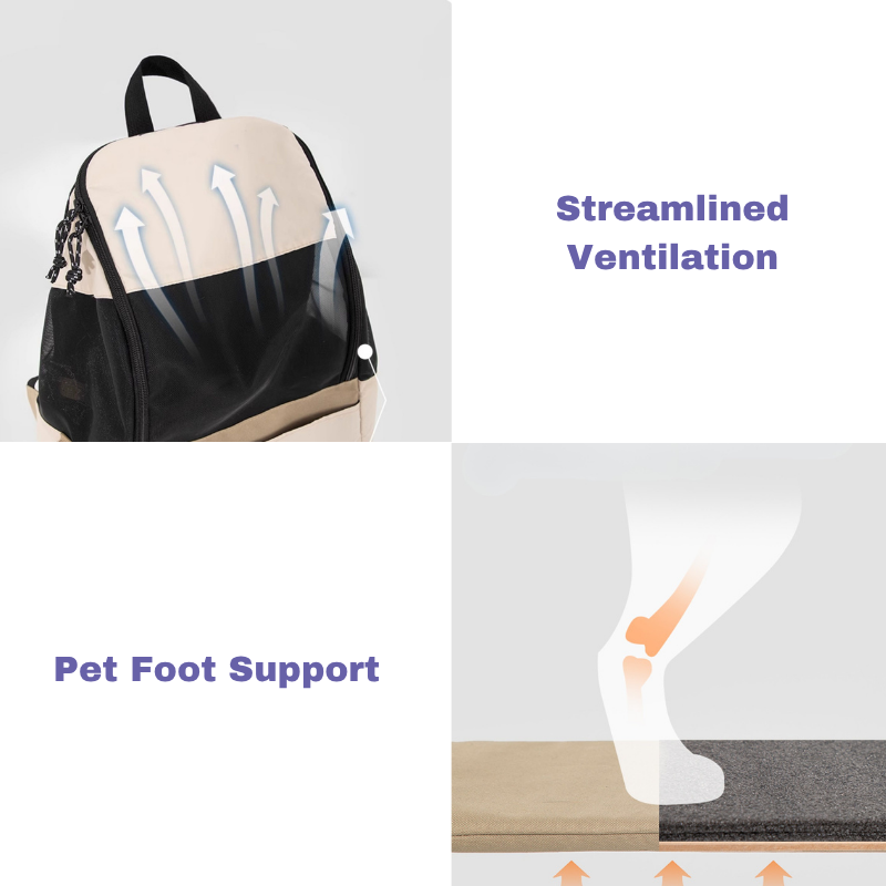 Breathable Airline-Approved Pet Backpack Carrier back view
