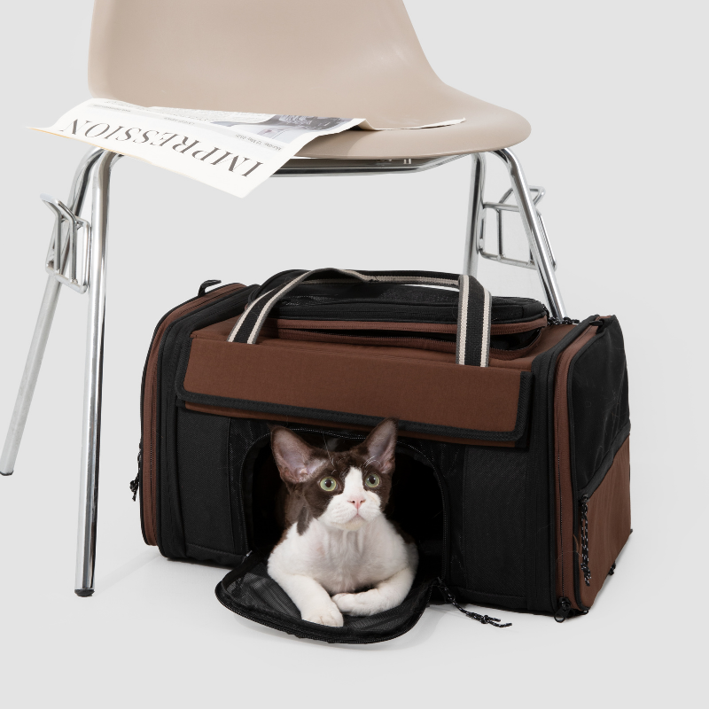 Double Tent Expandable Pet Travel Carrier for Cats and Small Dogs