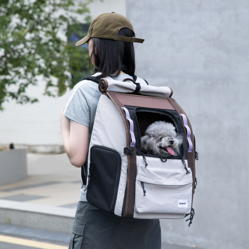 Gray dog riding in ergonomic anti-sag pet backpack worn on back