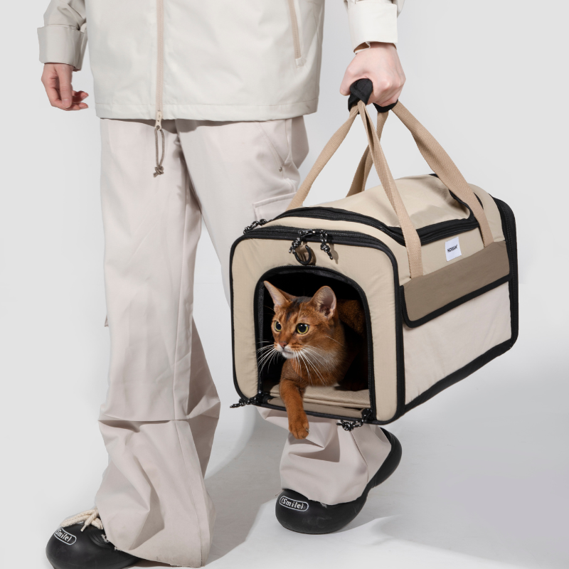 Cat in beige airline approved foldable pet carrier held by owner