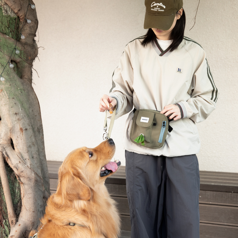 Dog Treat Training Pouch with Multi-Way Wear and Large Storage