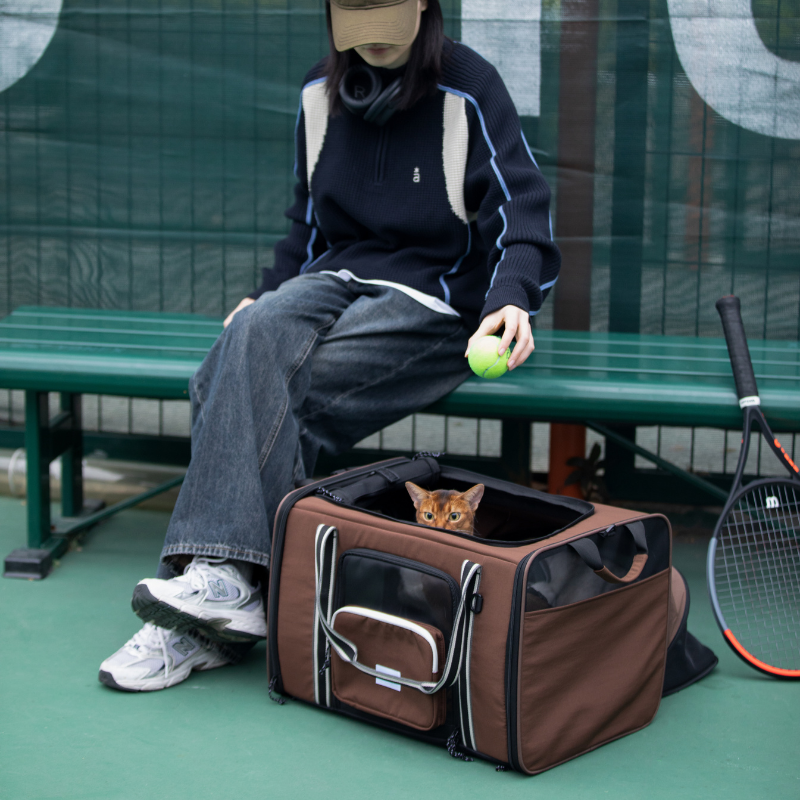 MAX Expandable Pet Travel Carrier for Cats and Small Dogs