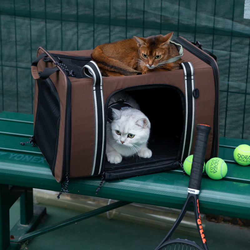 MAX Expandable Pet Travel Carrier for Cats and Small Dogs