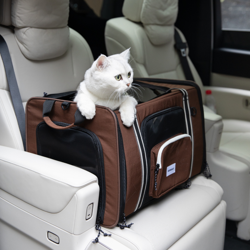 MAX Expandable Pet Travel Carrier for Cats and Small Dogs