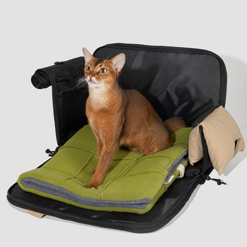 Aesthetic Lightweight Canvas Pet Tote Carrier in-use lifestyle view
