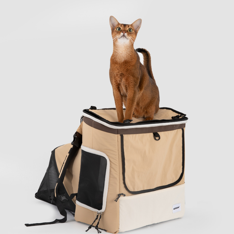 Beiger Haustier-Rucksackträger mit erweiterbarem Zeltbereich und einer orangefarbenen Katze darauf