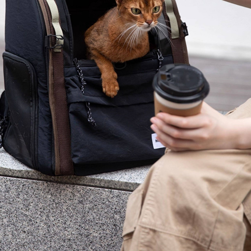 Ergonomischer Anti-Sag Haustier-Rucksack – Größen- und Passformansicht