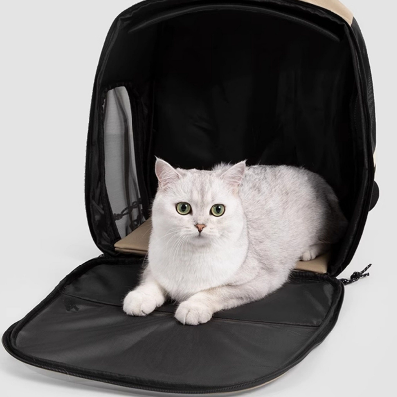 Lightweight Breathable Pet Backpack in-use lifestyle view