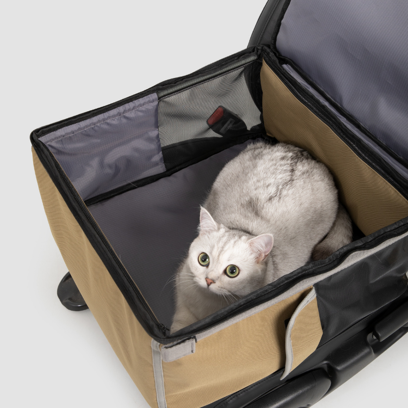 Beige 2-in-1 pet car seat carrier with white cat resting inside on gray liner