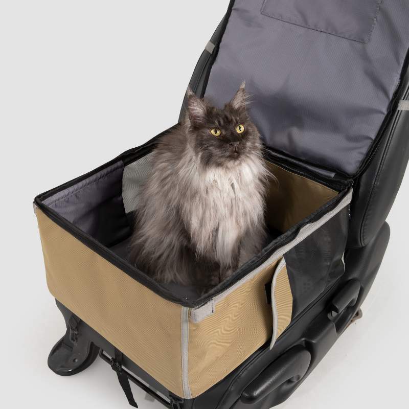 Beige 2-in-1 pet car seat carrier opened on car seat with tabby cat inside
