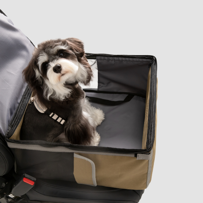 2-in-1 Pet Car Seat and Backpack Carrier